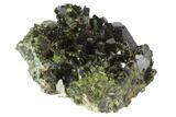 Lustrous Epidote Crystal Cluster on Actinolite - Pakistan #91983-1